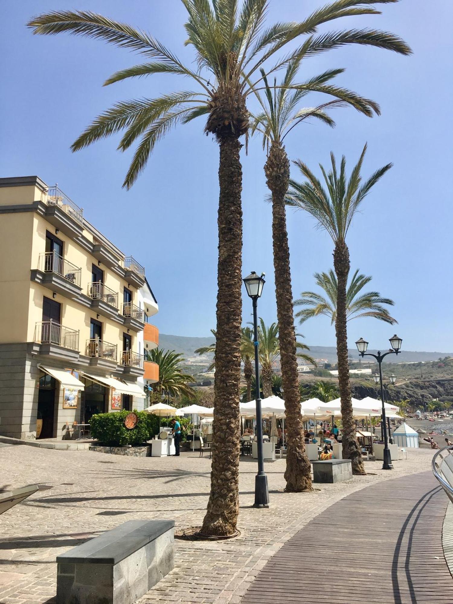 Number 5 At The Marina, Playa San Juan, South Tenerife Vv-A38-4-7457 Экстерьер фото